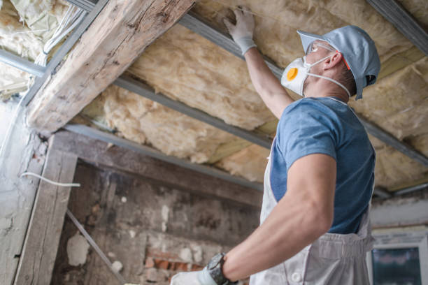 Best Insulation Maintenance and Repair in Torrington, CT